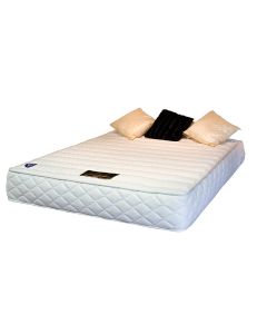 Primary Product Image