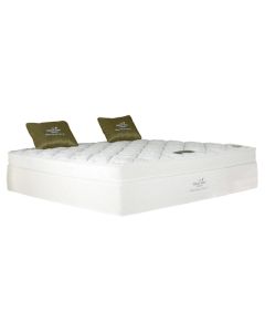 Primary Product Image